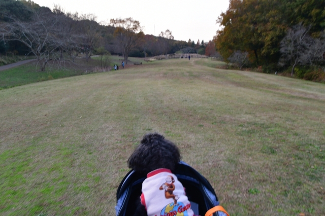 20181130192833542.jpg
