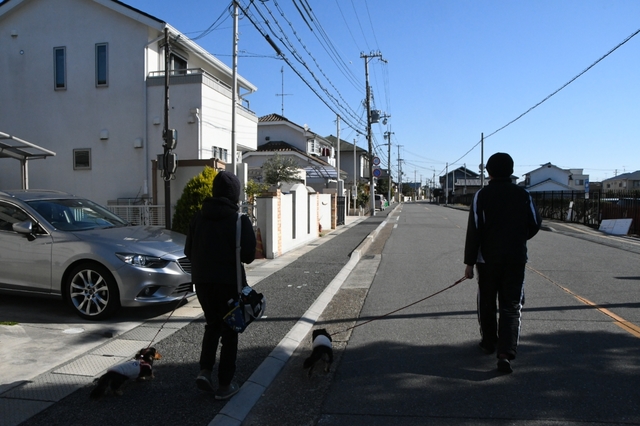 20190101151318565.jpg
