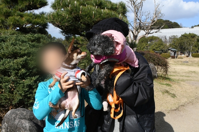 20190111174538546.jpg