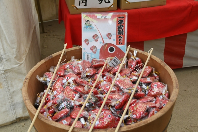 20190112114631193.jpg