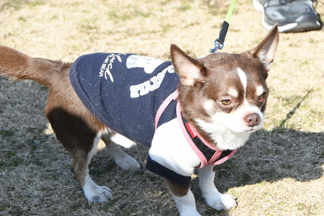 20190131120423245.jpg