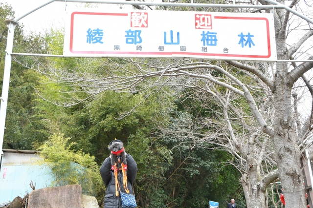 20190305094028536.jpg