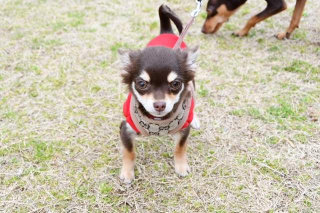 20190306171118448.jpg