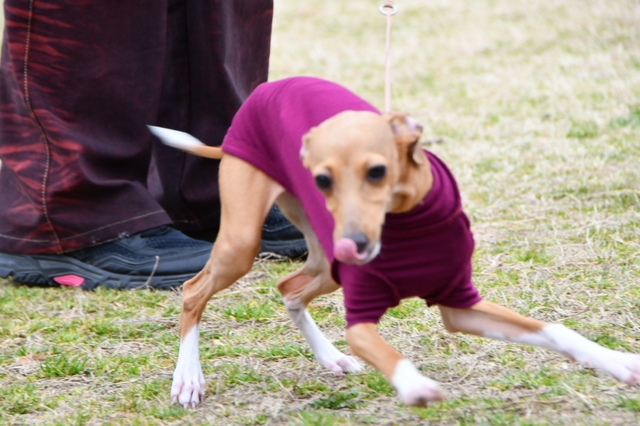 20190306172025245.jpg