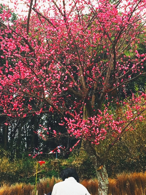 20190307091847224.jpg