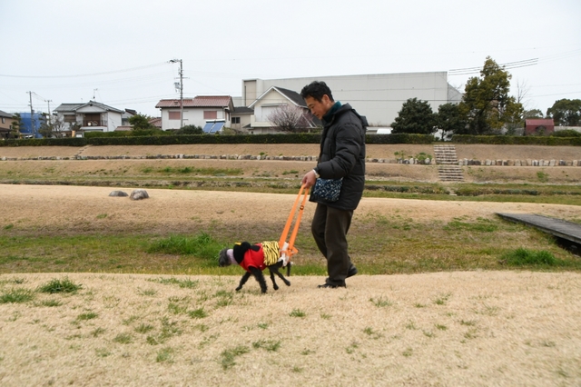 20190307150002359.jpg