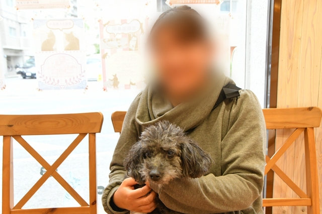 20190330155836075.jpg