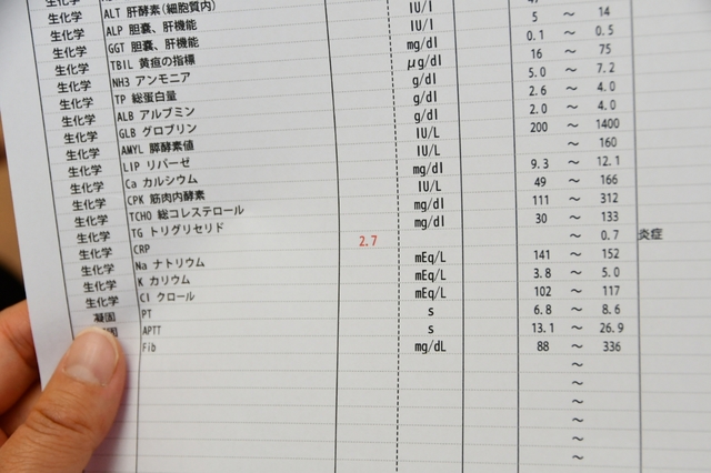 20190330160832070.jpg