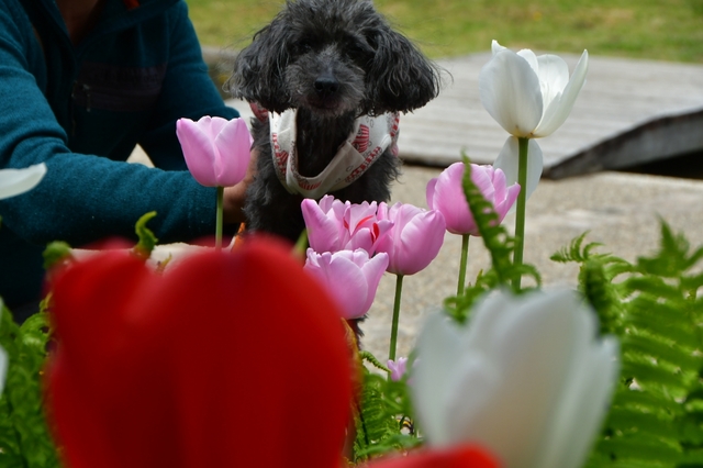 20190505191147810.jpg