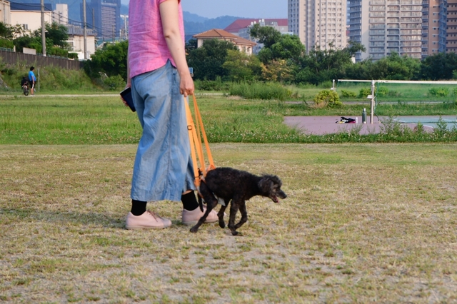 20190803162336771.jpg