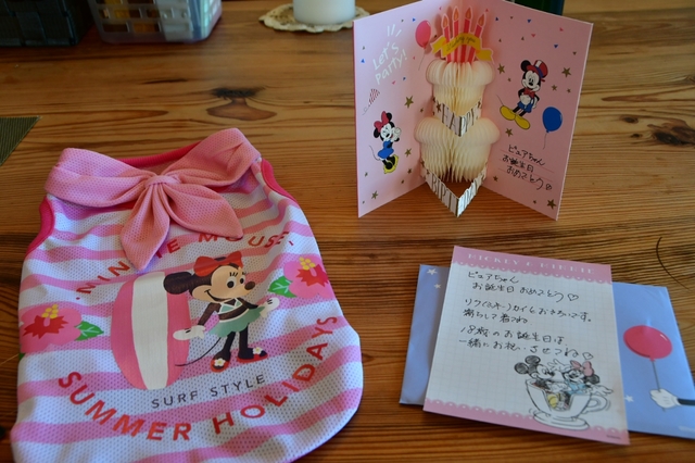 20190806094239182.jpg