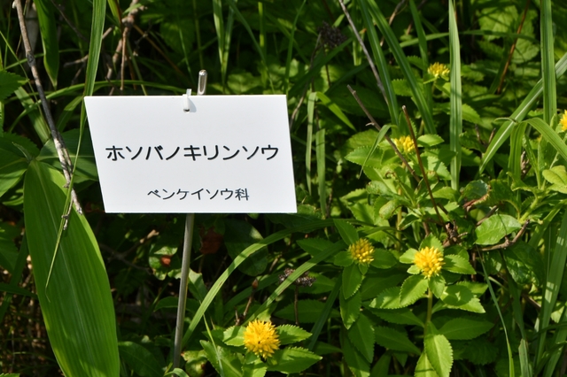 20190807092326231.jpg