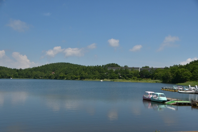 20190813061453151.jpg