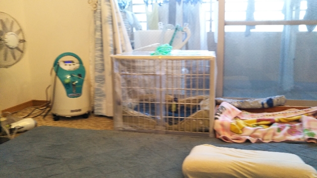20190819141046307.jpg
