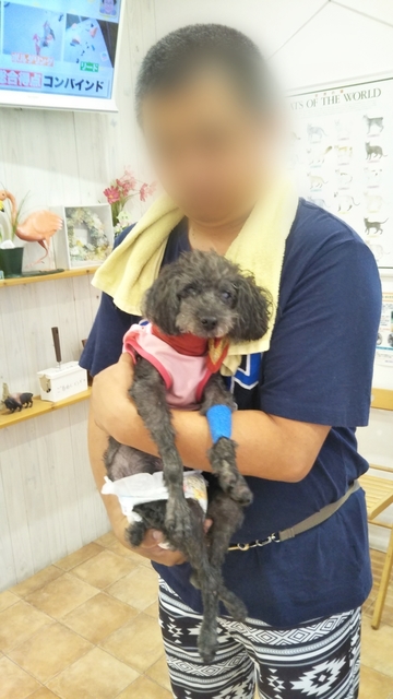 20190819141557398.jpg