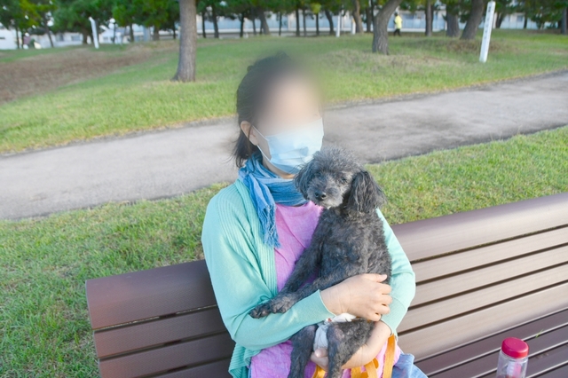 20190912123105800.jpg