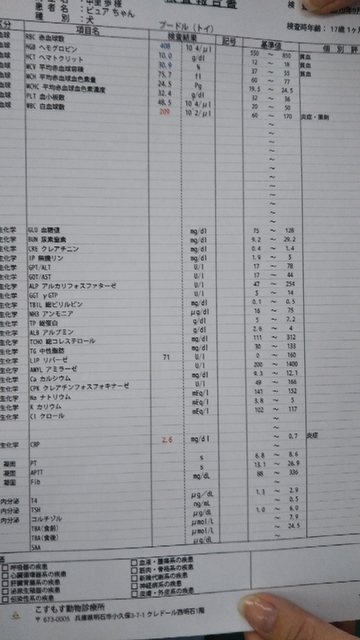 20190930163013916.jpg