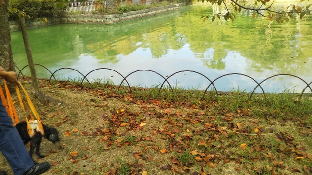 20191006102948482.jpg