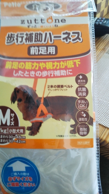 20191007133900580.jpg