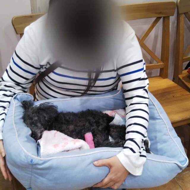20191103175159591.jpg
