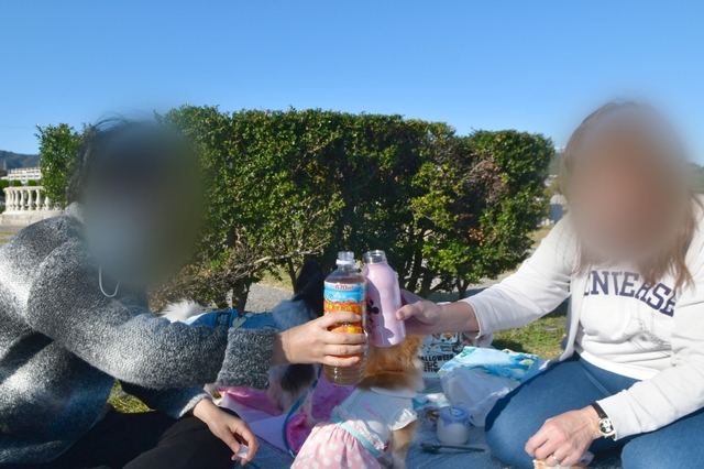 20191110161840456.jpg