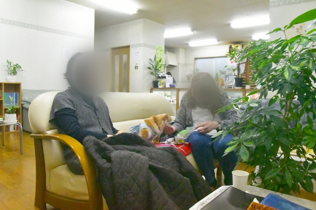 20191201163710427.jpg