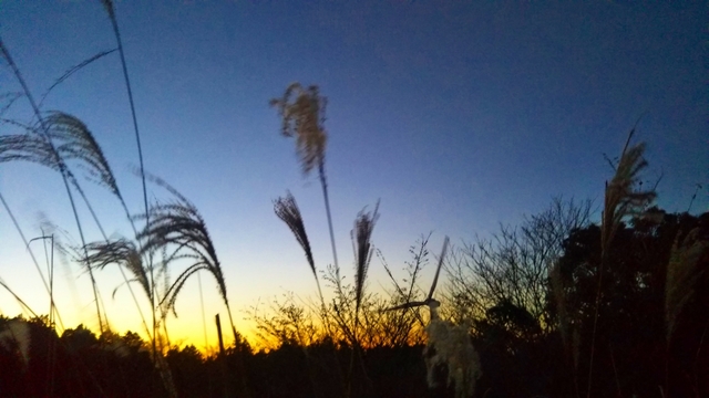 20191205114549216.jpg