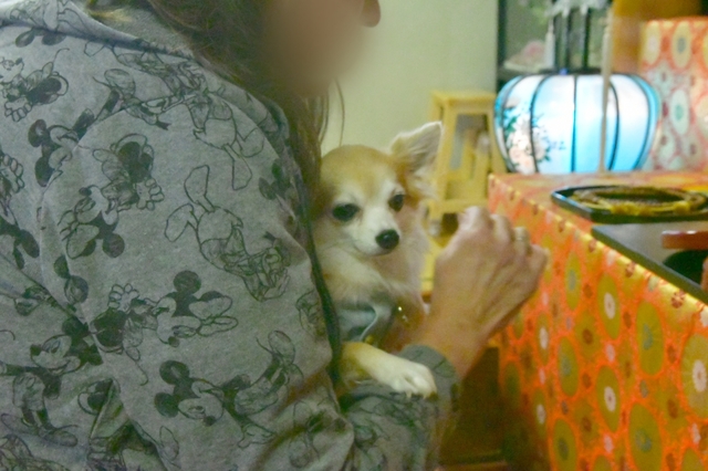 20191211004736787.jpg