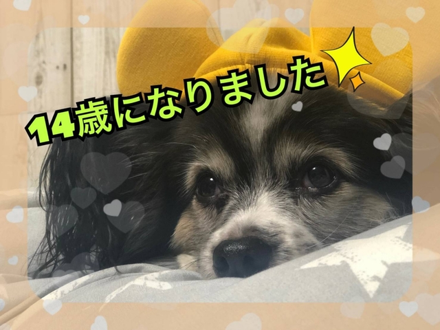 20191214153427124.jpg