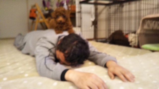 20200115085952983.jpg