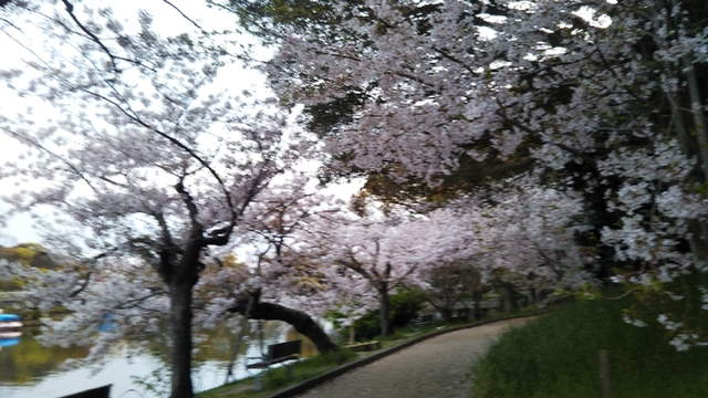 20200417145243302.jpg