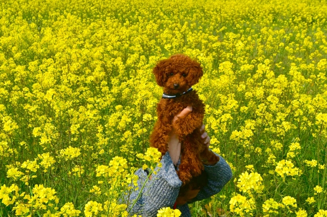 20200420105248495.jpg