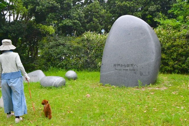 20200507120840262.jpg