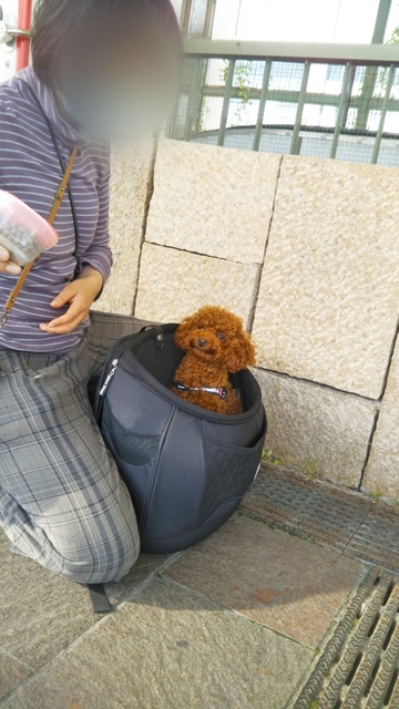 20200527180225716.jpg