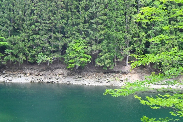20200531103859326.jpg