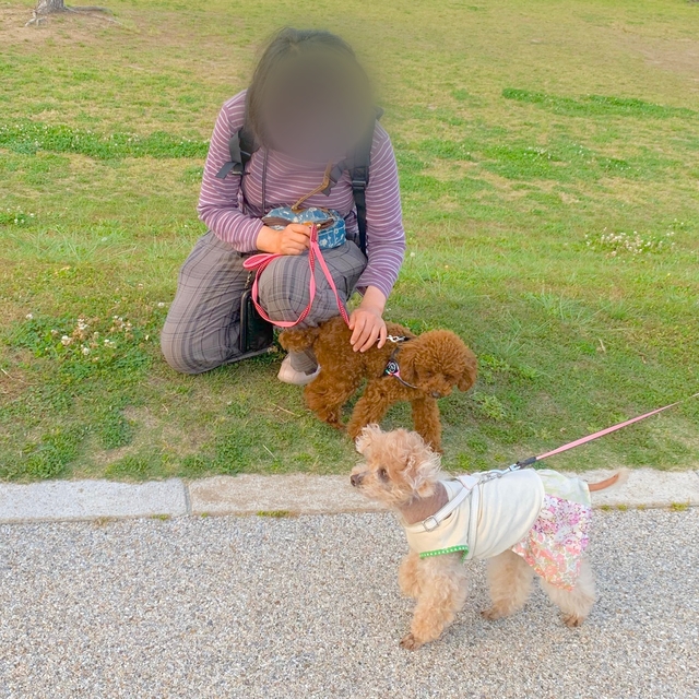 20200531110813581.jpg