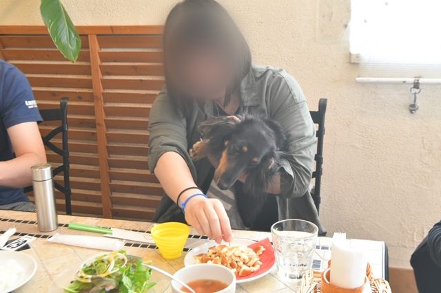 20200701131627873.jpg