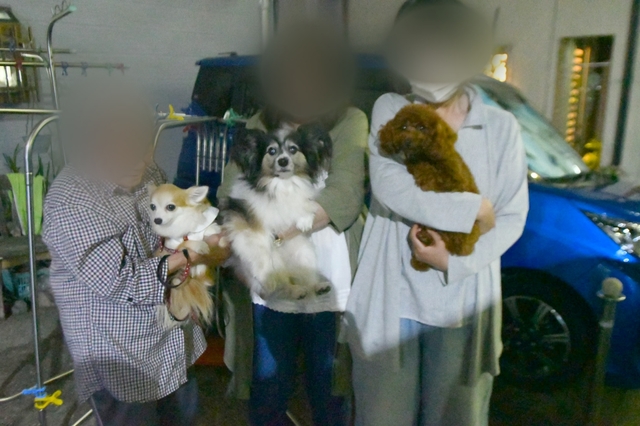 20200706093547619.jpg