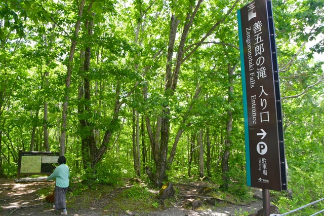 20200708161614480.jpg